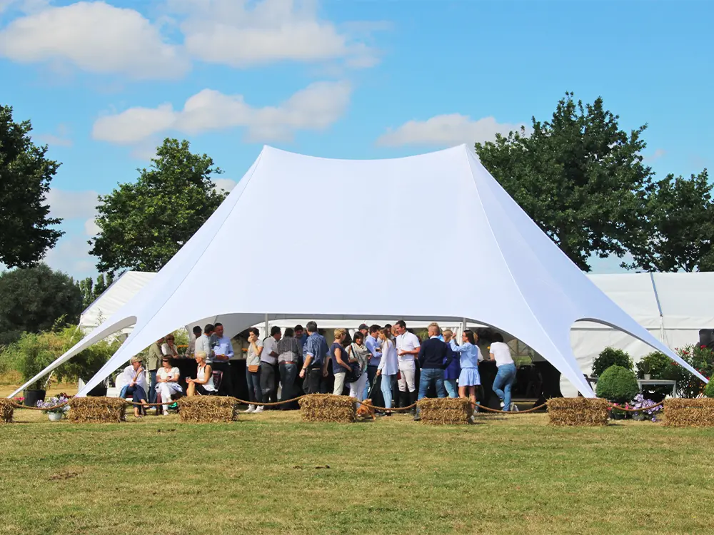 Ruime feesttent met 2 masten