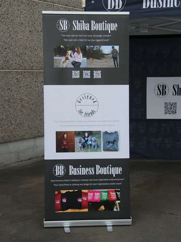 SB_rollup_g.webp