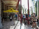vlaamse-kruis-g.webp